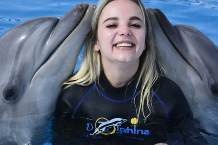 "Interactive dolphin experience at the Dolphin Show Dolphina Hurghada."