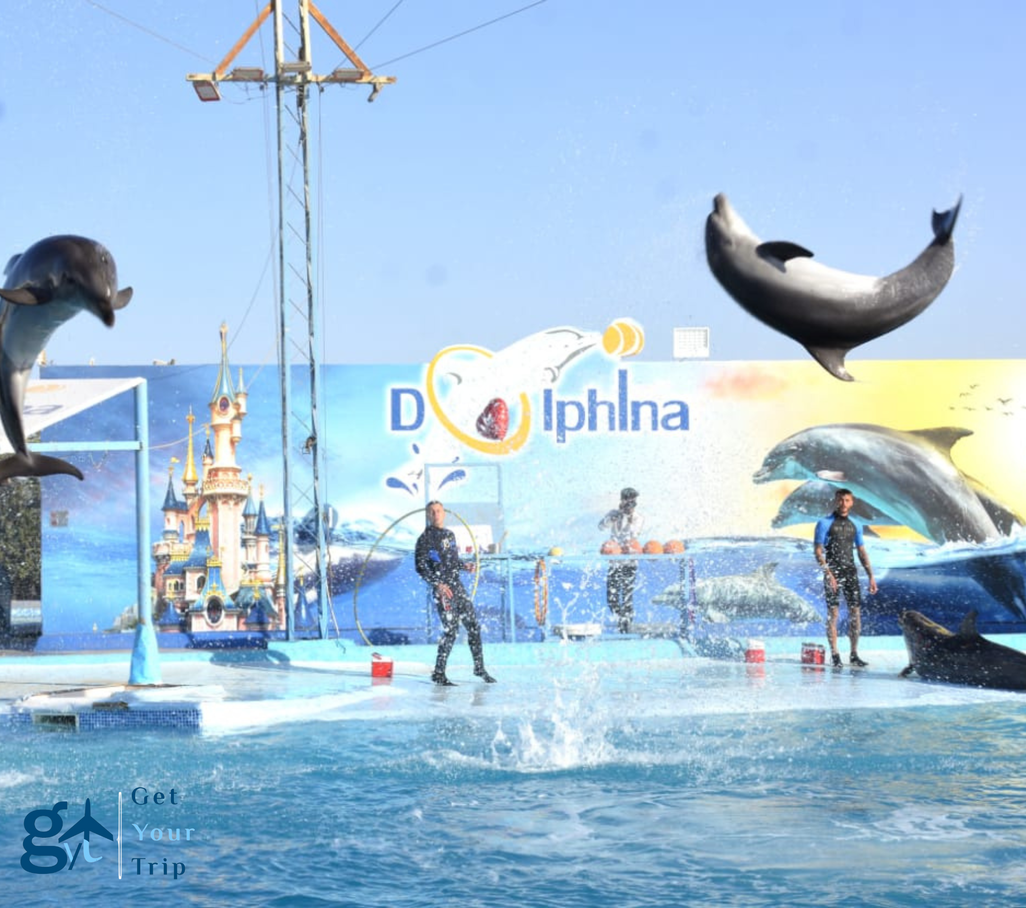 Dolphin Show By Dolphina