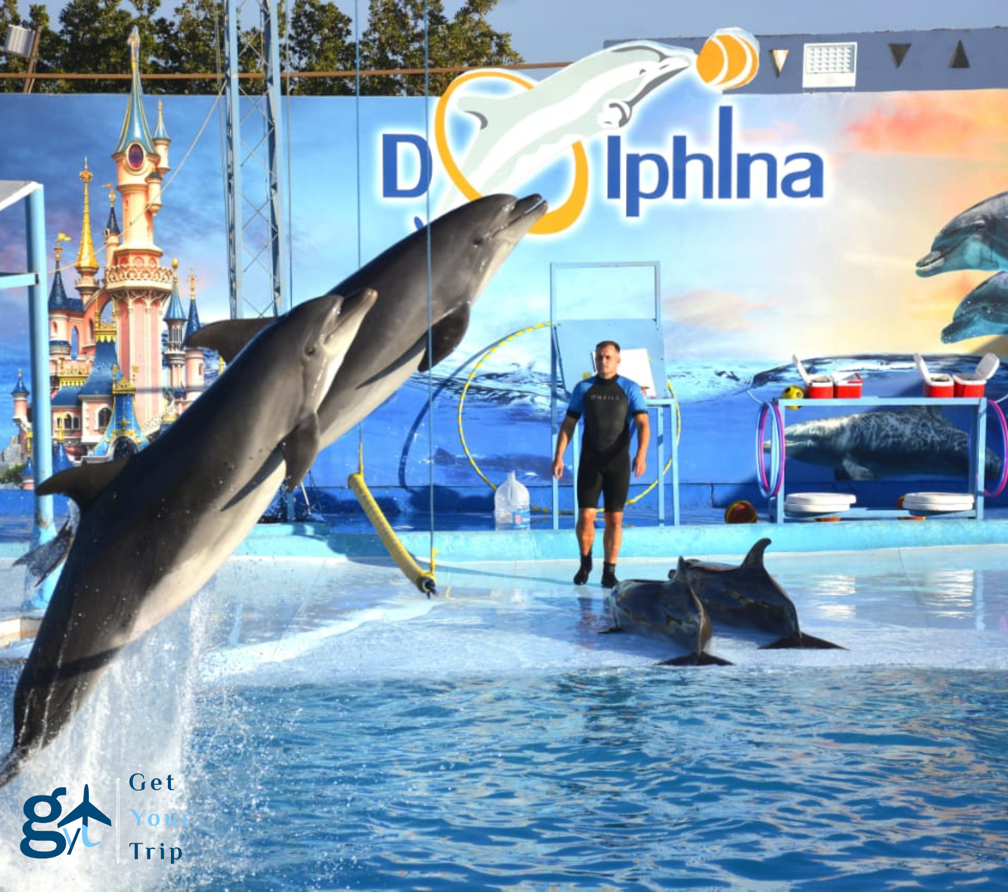 Dolphin Show By Dolphina